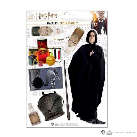 Planche de magnets en mousse - Severus Rogue - Harry Potter