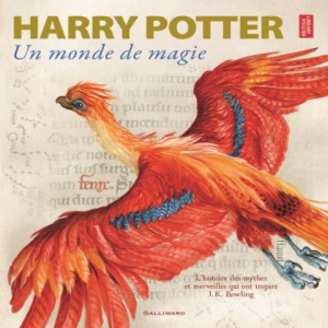 Un monde de magie – Livre Harry Potter