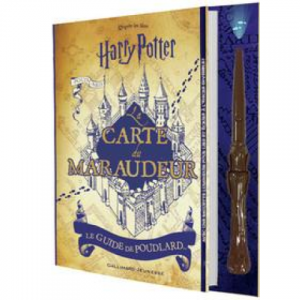 Livre interactif Harry Potter