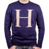 pull-over-harry-potter-ugly-harry-potter