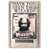 Harry Potter panneau métal 3D Have You Seen This Wizard 20 x 30 cm