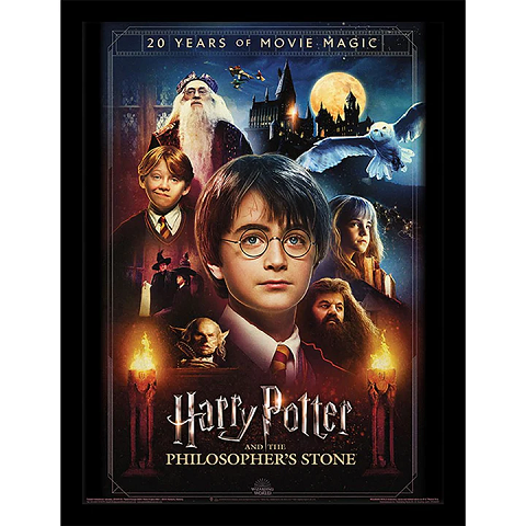 Cadre Harry Potter 20 ans de magie