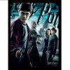 tableau harry potter et le prince de sang mêlé