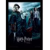 tableau harry potter et la coupe de feu