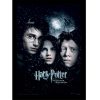 tableau harry potter et le prisonnier d'azkaban