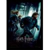 tableau harry potter et les reliques de la mort part1