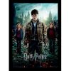 tableau harry potter et les reliques de la mort part2