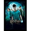 tableau harry potter et l'ordre du phoenix
