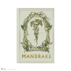 Carnet souple Harry Potter – Image 8