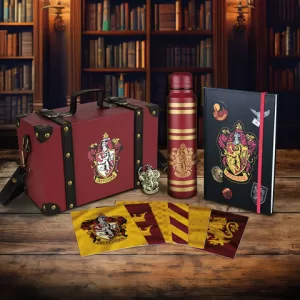 Coffret cadeau Valise Harry Potter